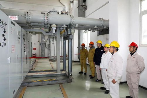 保障能源安全 國能肇慶電廠二期工程廠用電受電一次成功，手機(jī)軟件設(shè)計助力智慧電廠